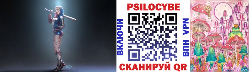Купить где  Усинск  Псилоцибиновые грибы Psilocybine cubensis 